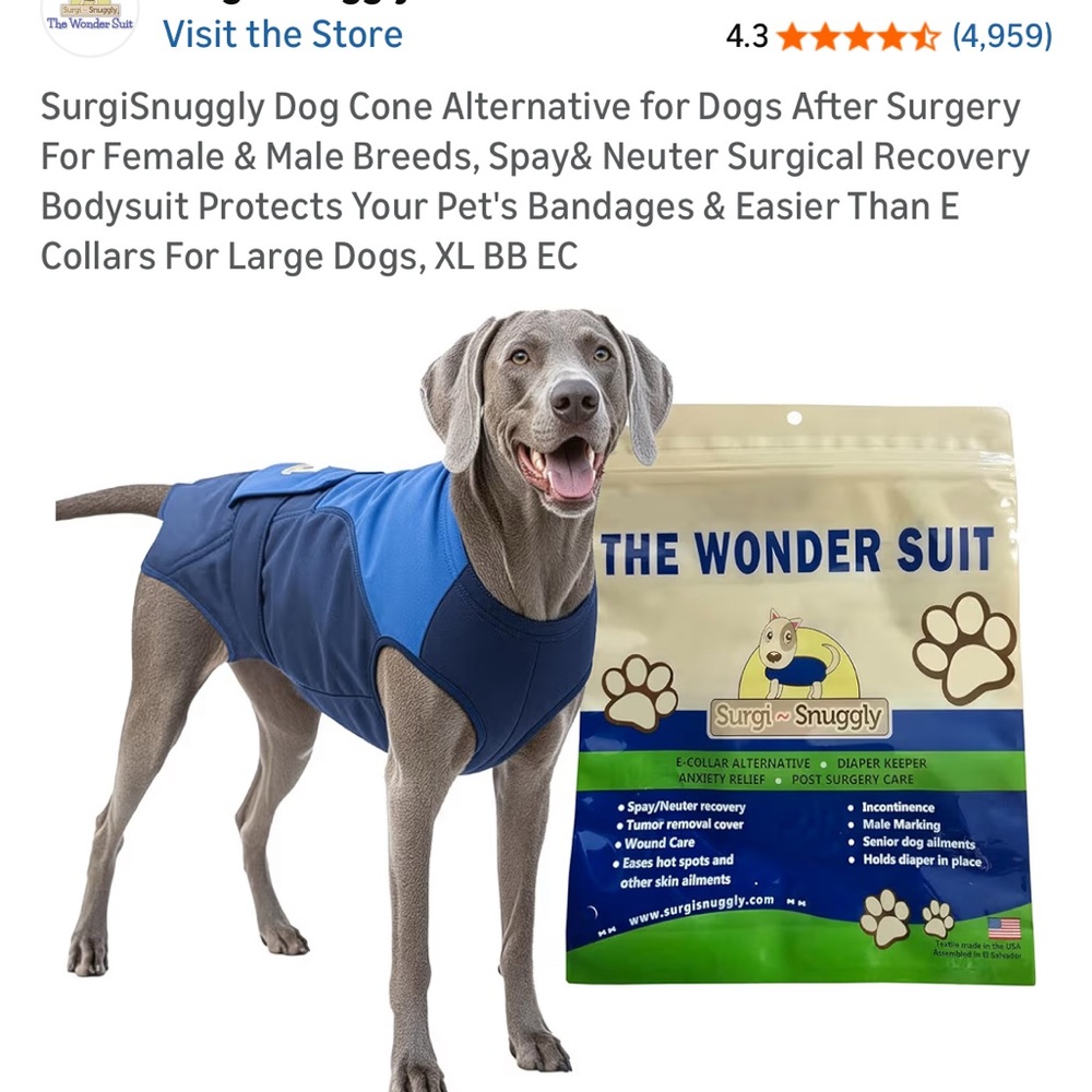 Blue Dog Recovery Suit
